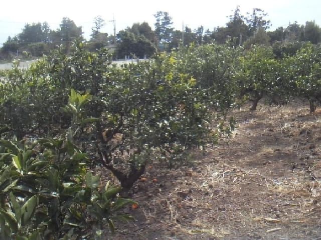 B000530202401300369703.jpg