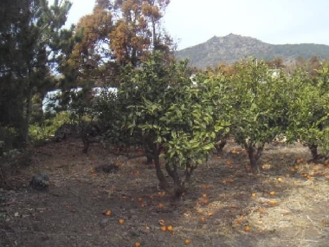 B000530202401300369702.jpg