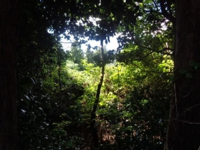 B000530202501300001763.jpg