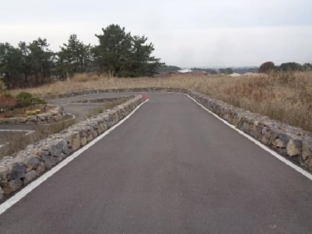 B000530202501300003503.jpg