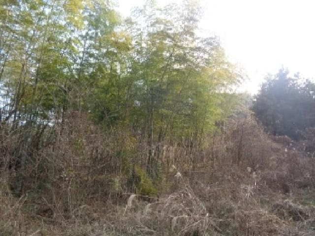 B000530202501300005102.jpg