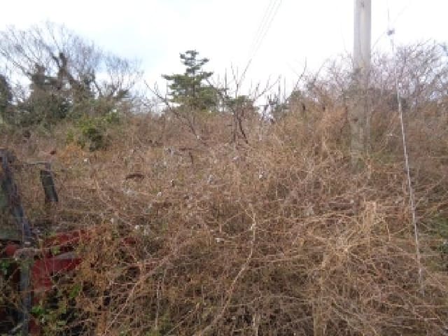 B000530202501300005414.jpg