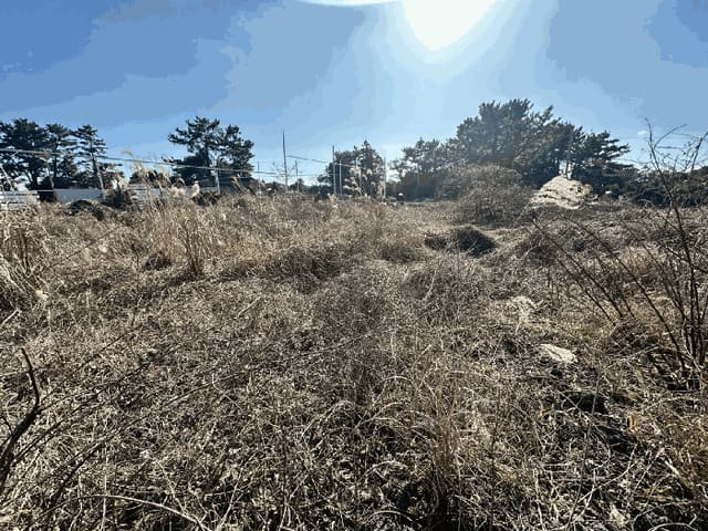 B000530202501300007872.jpg