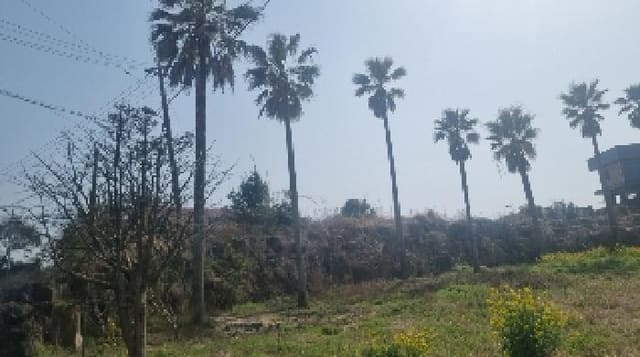 B000530202501300007944.jpg