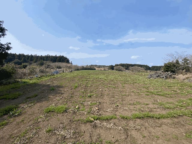 B000530202501300010423.jpg