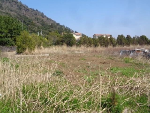 B000530202501300010581.jpg