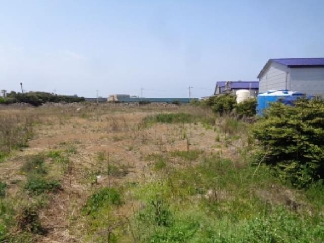 B0005302025013000110614.jpg