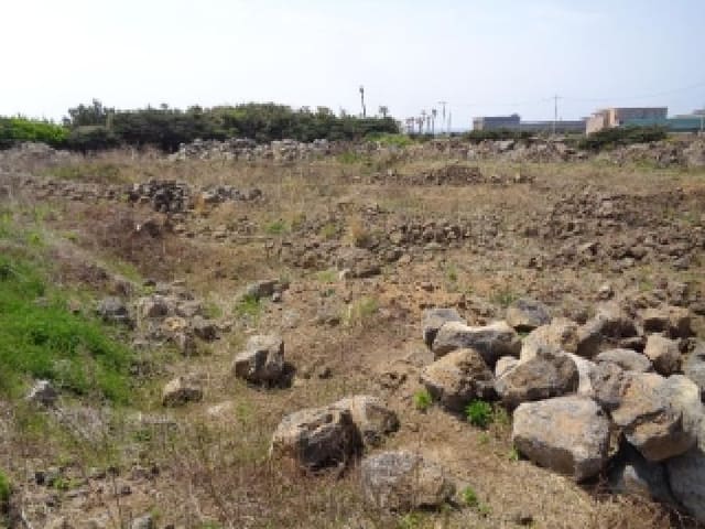 B0005302025013000110615.jpg