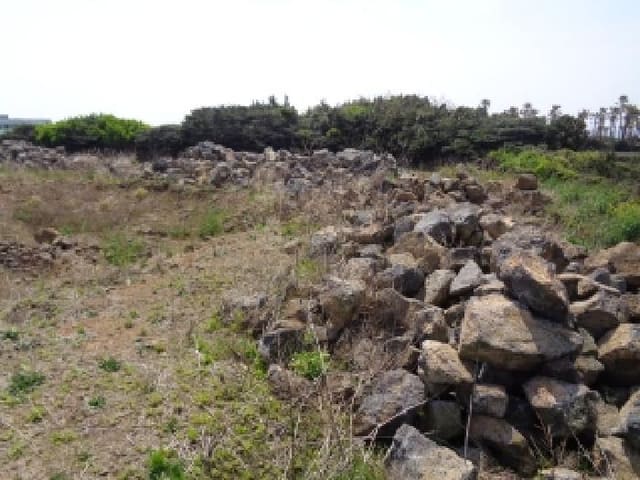 B0005302025013000110616.jpg