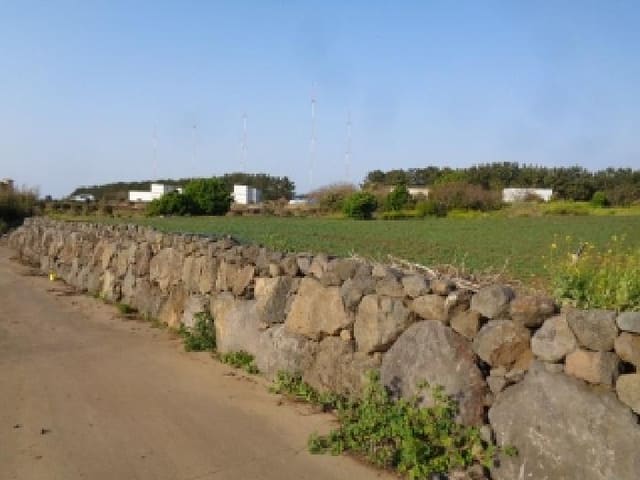 B000530202501300011142.jpg