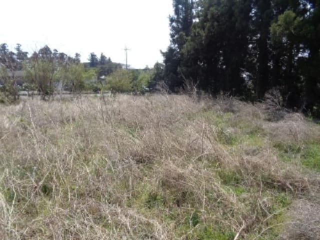B000530202501300011152.jpg