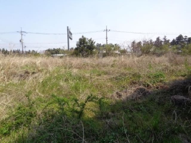 B000530202501300011151.jpg