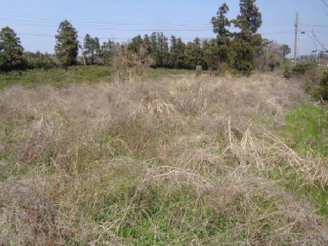 B000530202501300011153.jpg