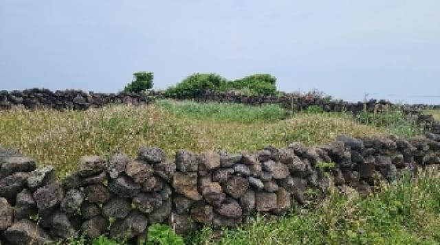 B000530202501300011402.jpg