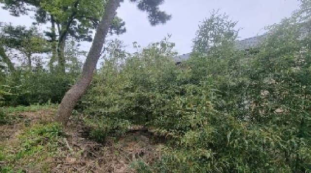 B000530202501300011461.jpg