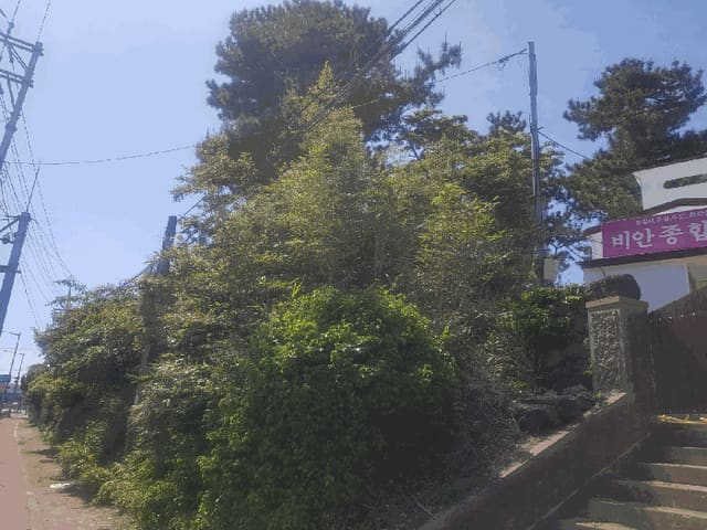 B000530202501300011464.jpg