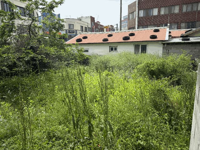 B000530202501300011642.jpg
