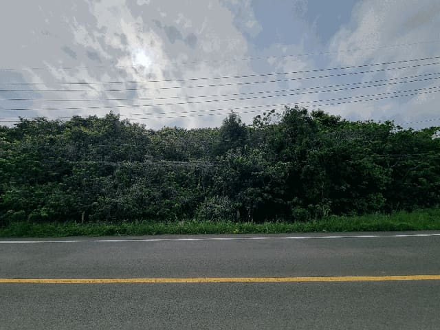 B000530202501300011863.jpg