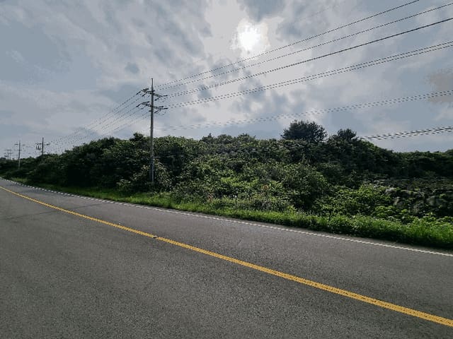 B000530202501300011864.jpg