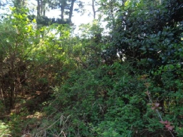 B000530202501300011882.jpg