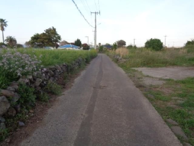 B000530202501300011951.jpg