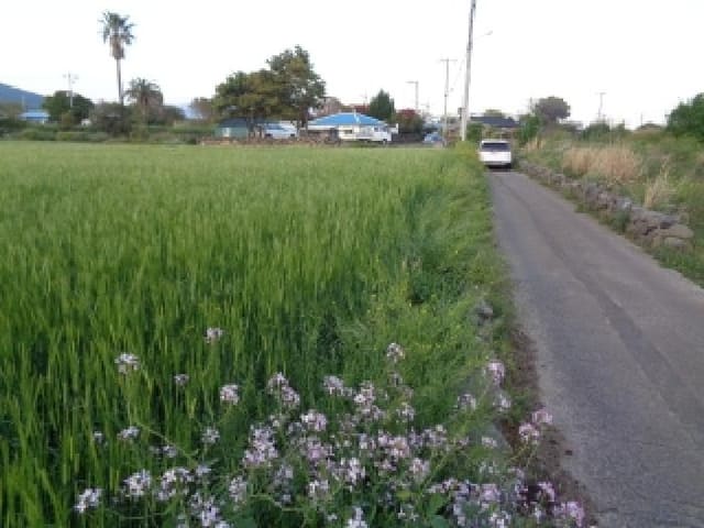 B000530202501300011952.jpg