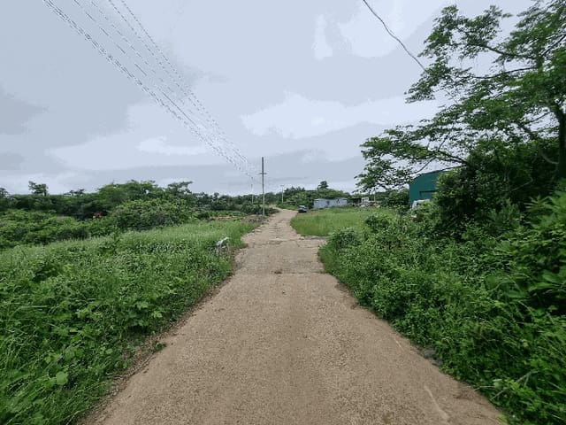 B000530202501300012043.jpg