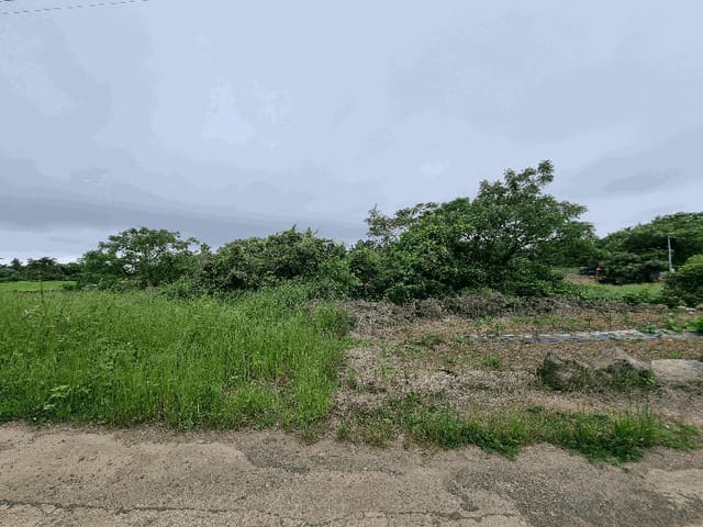 B000530202501300012044.jpg