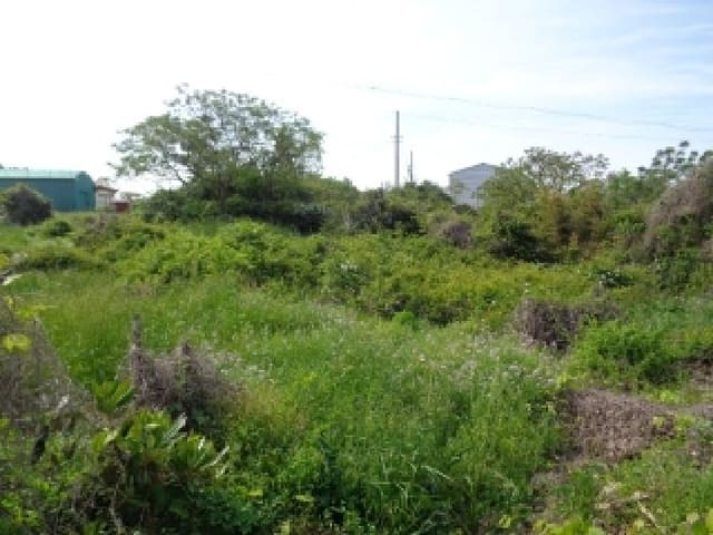 B000530202501300012041.jpg