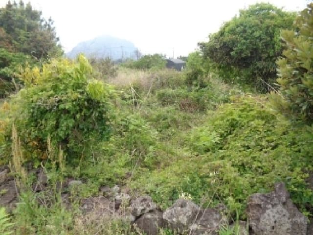 B000530202501300012054.jpg