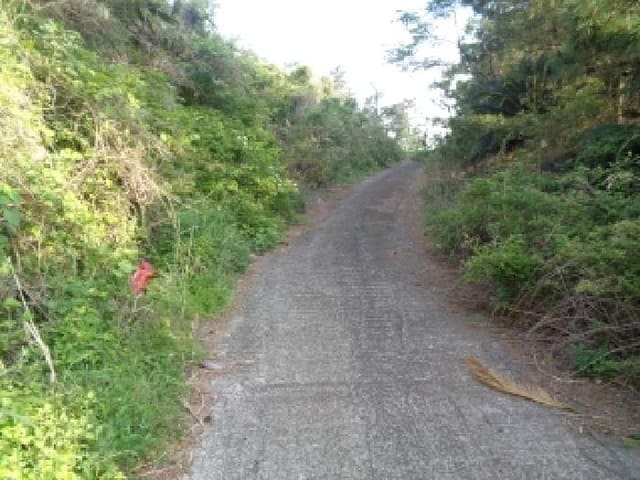 B000530202501300012103.jpg