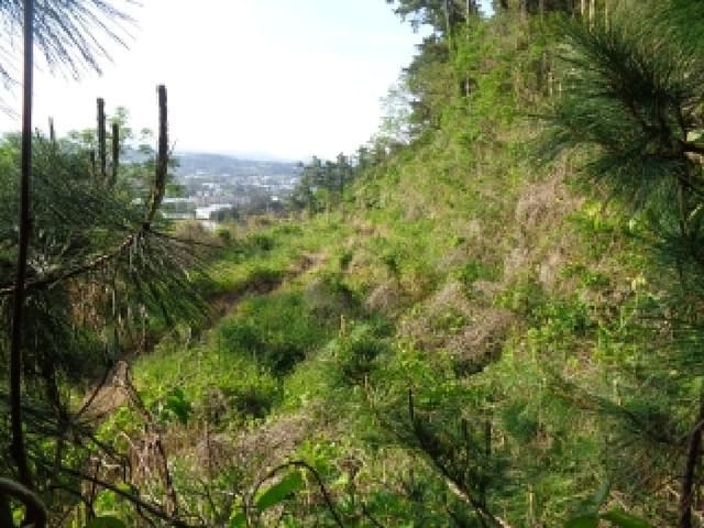 B000530202501300012104.jpg