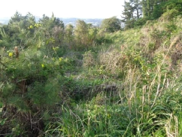 B000530202501300012102.jpg