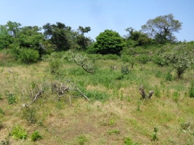 B000530202501300012142.jpg