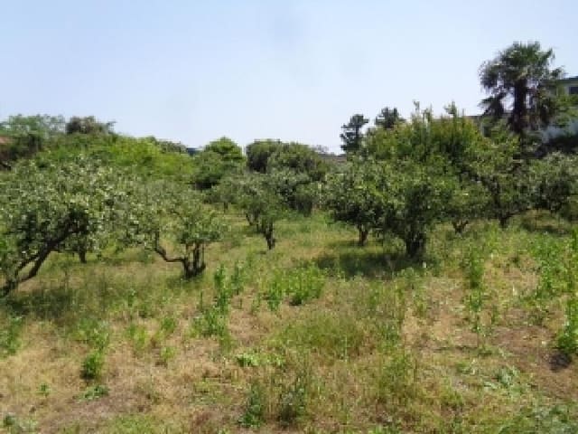 B000530202501300012143.jpg