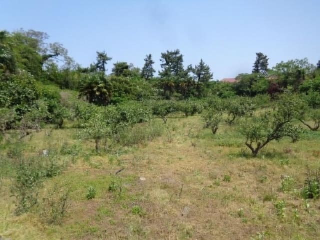B000530202501300012144.jpg
