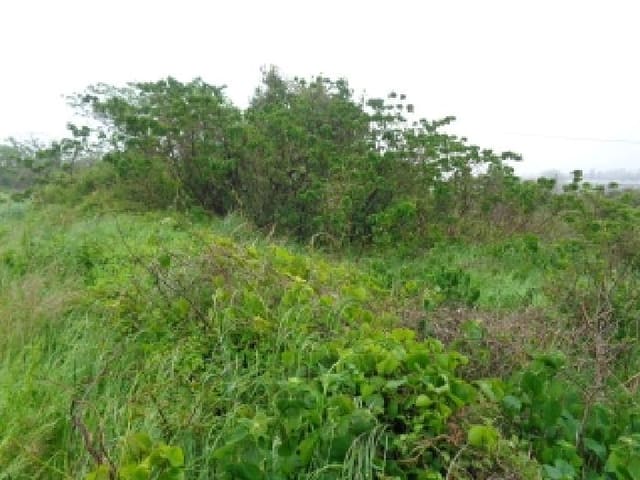 B000530202501300012281.jpg
