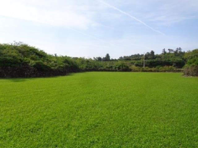 B000530202501300012464.jpg
