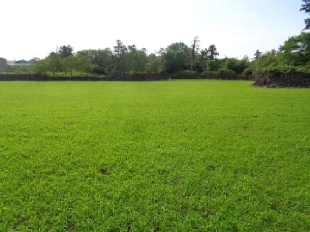 B000530202501300012461.jpg
