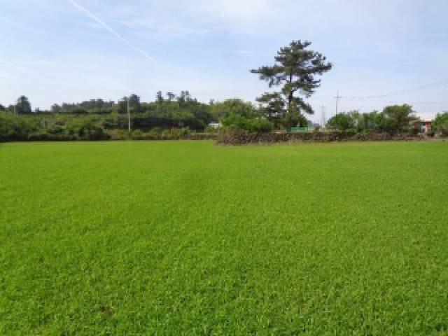 B000530202501300012463.jpg