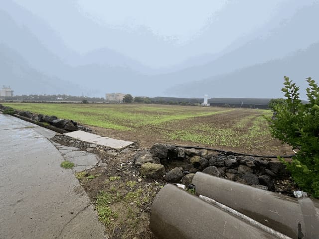 B000530202501300012502.jpg
