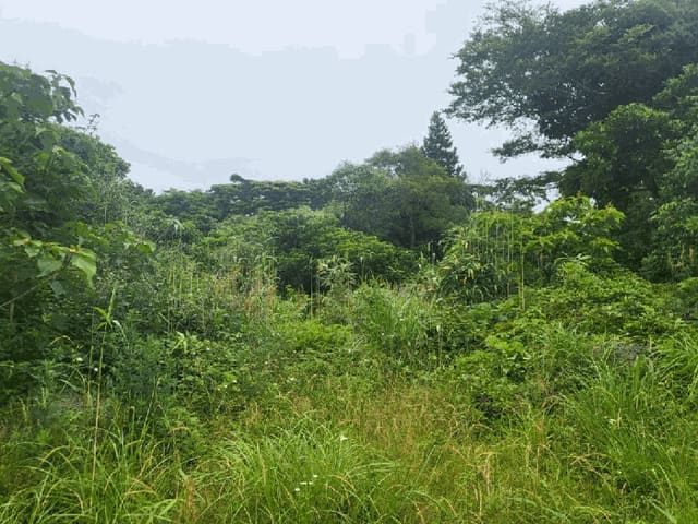 B000530202501300012514.jpg