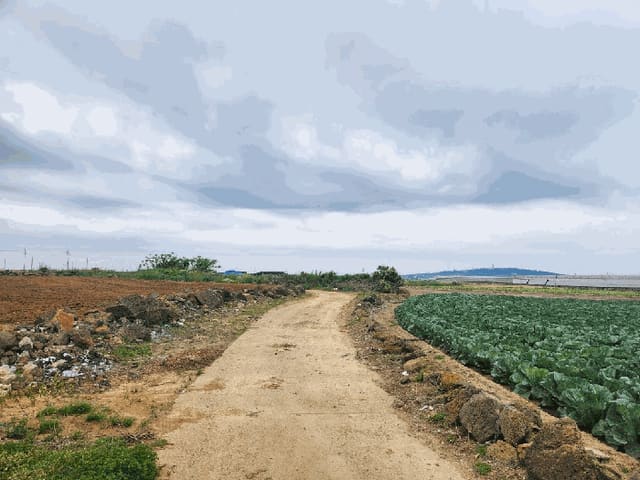 B000530202501300012524.jpg