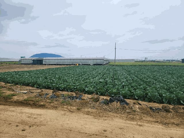 B000530202501300012523.jpg