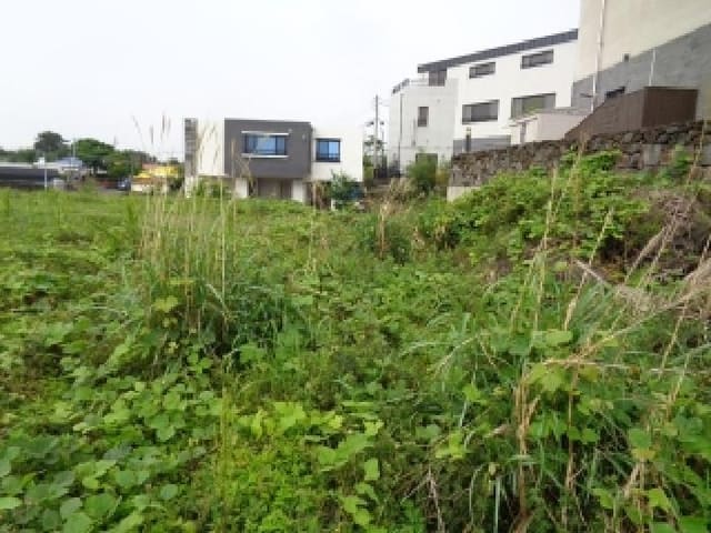 B000530202501300012533.jpg