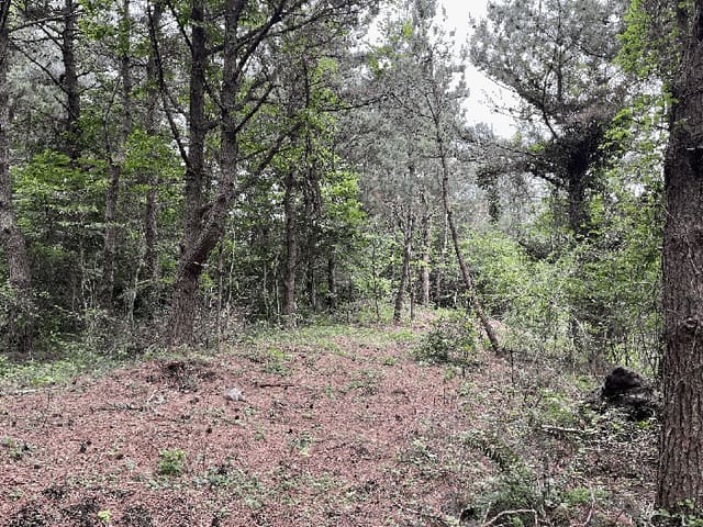 B000530202501300012584.jpg