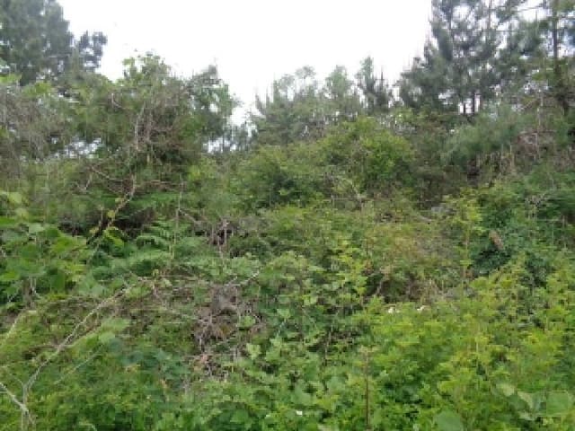 B000530202501300012684.jpg