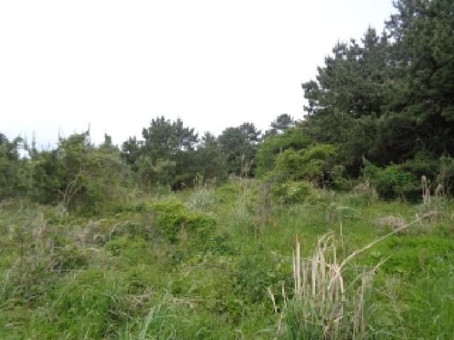 B000530202501300012681.jpg