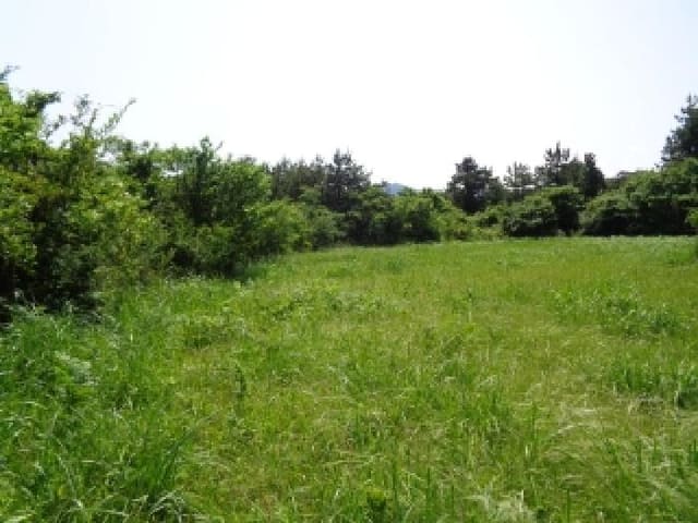B000530202501300012721.jpg