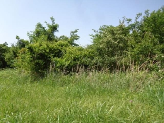 B000530202501300012722.jpg